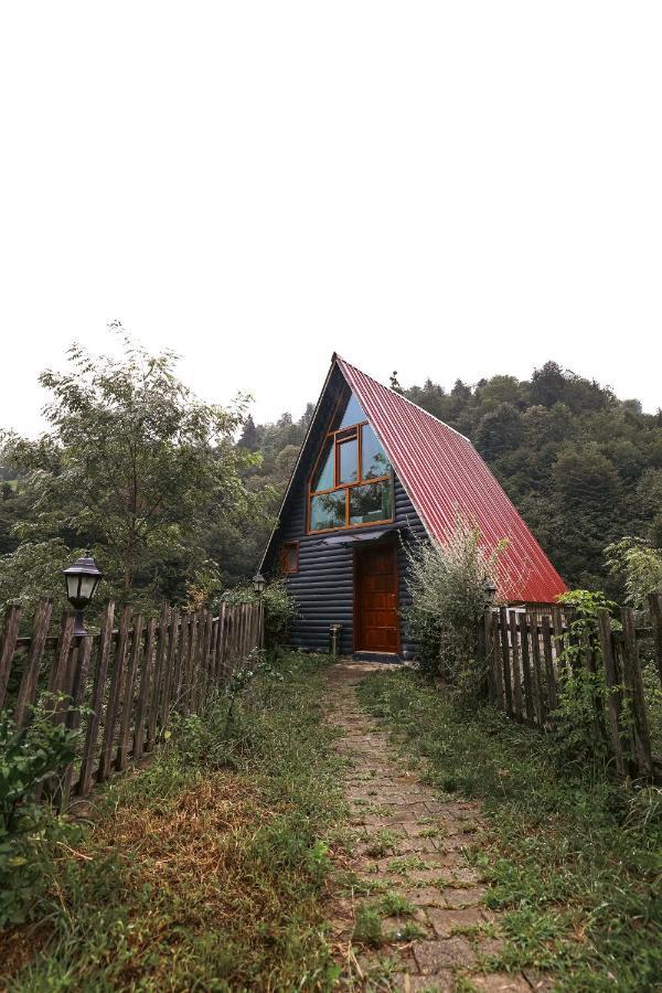 Bungalove Tatil Koeyue Çamlıhemşin Екстериор снимка
